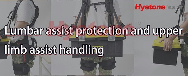 Lumbar-assist-protection