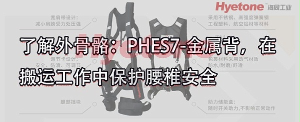 PHES7-金属背